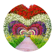 Jardins de Miracle Garden